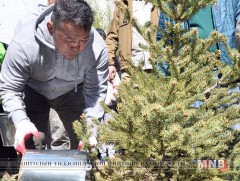 Ерөнхийлөгч Х.Баттулга Нийслэлийн өргөө амаржихын хашаанд мод тарьж, эмнэлгийн үйл ажиллагаатай та..