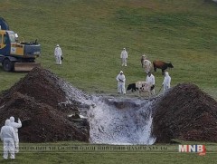 Гамшгийн голомтод ажилласан албан хаагчдад томилолтын зардал олгоно