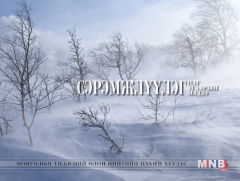 Малчид, иргэдийг шуурганд төөрч, осгохоос сэрэмжлэхийг анхааруулж байна
