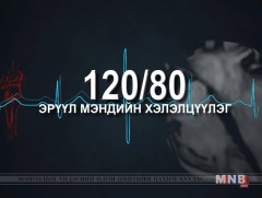 120/80 эрүүл мэндийн хэлэлцүүлэг