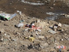 Хөрсөнд шингэсэн хромын хоруу чанарыг бууруулж, саармагжуулна