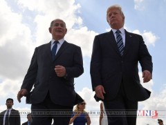 Трамп сонгууль хүртэлх долоо хоногт 11 мужид 11 цуглаан хийхээр төлөвлөж байна