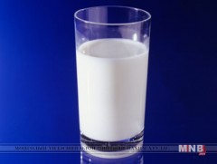 Нэг аяга сүү /сургамжит өгүүллэг/