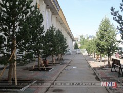 Нийслэлийн ногоон байгууламж зохист хэмжээнээс 10 дахин бага байна