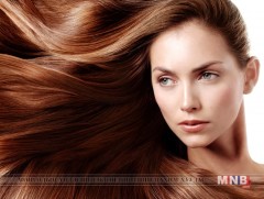 Өвлийн улиралд үсээ хэрхэн арчлах вэ 