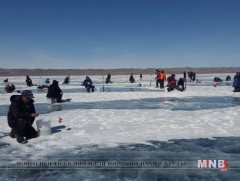 Сэлэнгэ аймгийн мал сүргийн тоо толгой 101 толгойгоор өсчээ
