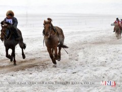 Г.Занданшатар: Хүүхэд морины ажил хийж байгаад амиа алдсан 