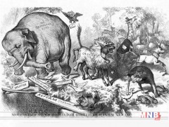 Амьтдын сүрэгт ч 