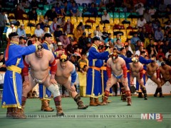 Сар шинийн барилдааны сонин хачин