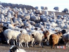 Өвөрхангай аймагт хаваржилт хэвийн байна