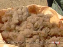 Торомны хөөврөөр хийсэн бүтээгдэхүүн олон улсад гарч эхэллээ 