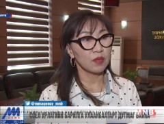 Соёл урлагийн барилга Улаанбаатар хотод дутмаг байна 