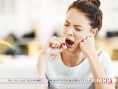 Бусдыг дууриаж эвшээхийн учир...