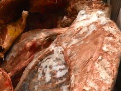 БНХАУ-ын 2 иргэн гарал үүсэл нь тодорхойгүй үхрийн мах бэлтгэж байгааг саатуулжээ