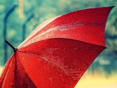 Хумигддаг шүхэр Францаас үүсэлтэй 