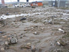 Үерийн улмаас 5 сумын 2000 гаруй тариан талбай усанд автжээ