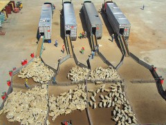 Малыг амьдаар нь экспортод гаргахгүй