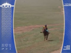 Д.Очирсүрэнгийн сартай зээрд соёолон түрүүллээ 