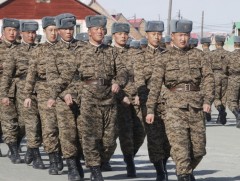 Цэргийн дүйцүүлэх алба хаах иргэдийн тооны дээд хязгаарыг тогтоов