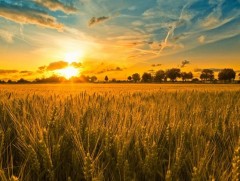 Атрын баатруудаа алдаршуулъя: 