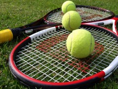 Софт теннисээр хичээллэснээр сэтгэн бодох чадвар сайжирдаг