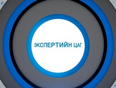 Экспертийн цаг: Анагаах ухааны доктор Э.Эрдэнэцогт 