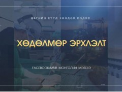Хөндөх сэдэв: Хөдөлмөр эрхлэлт...