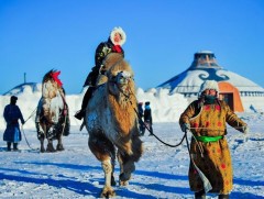Аймгийн алдарт уяач Ж.Цэдэндамбын нэрэмжит тэмээний баяр боллоо 