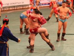 Сар шинийн битүүний өдрийн бөхийн барилдааны тойм /сүүлийн 5 жил/