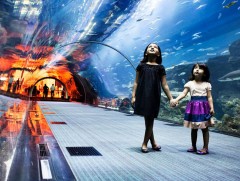 Шилдэг байгууламж: Dubai Mall