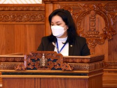 “Хуулийн төслийг буцаах тухай” УИХ-ын тогтоолууд батлагдав