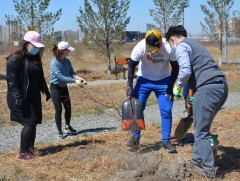 Хотын ногоон байгууламжид соёлтой хандахыг JCI залуус уриаллаа  