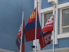 Сонгон шалгаруулалтын зар
