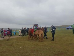 221 хязаалан бүртгэгджээ 