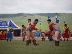 Энэ жилийн баяр наадамд дөрөв давсан аймаг, цэргийн цолтонгууд