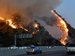 АНУ-ын баруун эрэгт 36 хүн түймрийн уршгаар амиа алджээ 