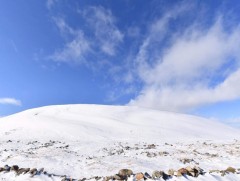 Бурхан Халдун хайрханыг тахив 