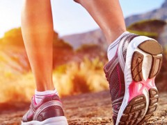 Дэлхийн алхалтын өдрийг тэмдэглэнэ 