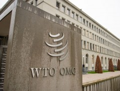 ДХБ: 2020 онд дэлхийн худалдаа 9,2 хувиар буурах төлөвтэй байна 