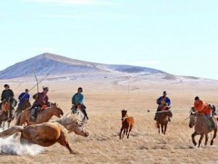 “Агтана хүрээт-2020” наадамд 3000 орчим хүн оролцлоо 