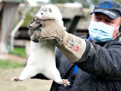 Булга коронавирусээр халдварласан тохиолдол зургаан улсад бүртгэгджээ 