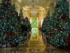 Цагаан ордон зул сарын баярт бэлэн болжээ