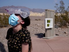 2020 он түүхэн дэх хамгийн халуун жилүүдийн нэгээр нэрлэгджээ 