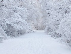 Цастай зам