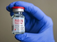 Энэтхэг улс Америкийн Модерна компанийн коронавирусний эсрэг вакциныг импортолно