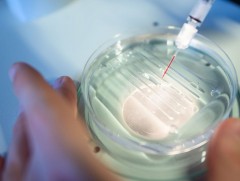 ДЭМБ хүний генийг засварлах судалгааг бүртгэлжлүүлж, хянах нь зүйтэй гэж үзэв