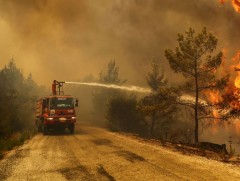 Турк улсад ой хээрийн түймэрт 8 хүн амь эрсдээд байна 
