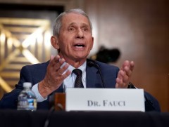 Зул сарын баярын аялал Омикроны тархалтыг нэмэгдүүлнэ гэж анхаарууллаа