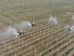 БНХАУ генийн өөрчлөлттэй үр тариаг хэрэглэх шинэ журам боловсруулжээ