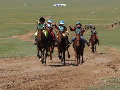 Сэлэнгэ аймгийн уяач Д.Одхүүгийн зээрд хязаалан түрүүлжээ